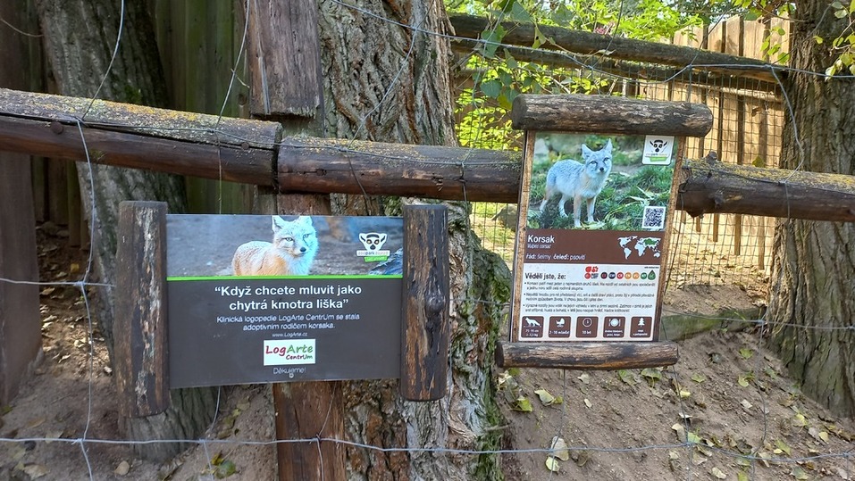 Zoopark Zájezd - výběh Korsaka