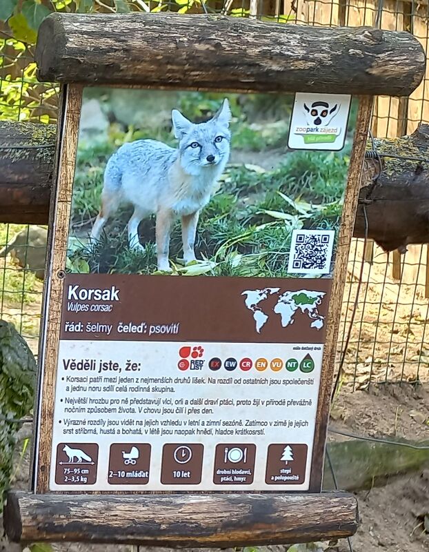 Zoopark Zájezd - výběh Korsaka